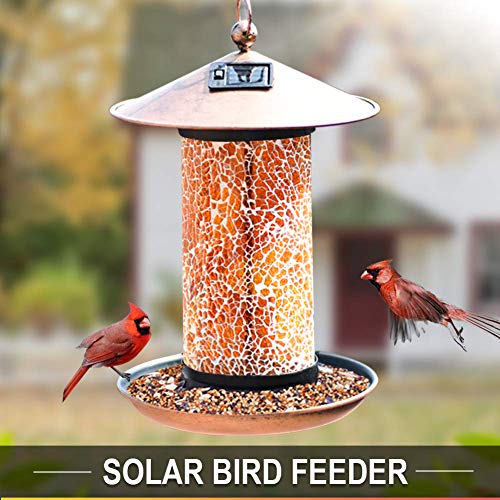 Artbirdfeeder - Colgador de comedero solar para pájaros, alimentador de pájaros Oriole con linterna solar, iluminación brillante, pájaro colgante