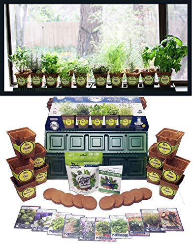 Kit de jardín de hierbas para alféizar de ventana, la maceta de hierbas viene completa con una colección de 10 variedades de semillas de hierbas sin OMG y macetas de hierbas.