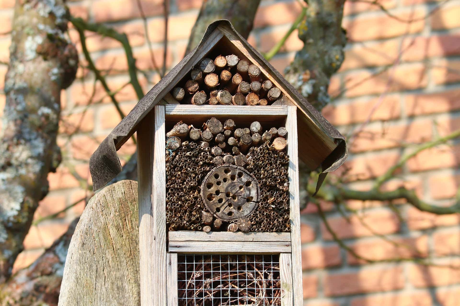 casa de abejas
