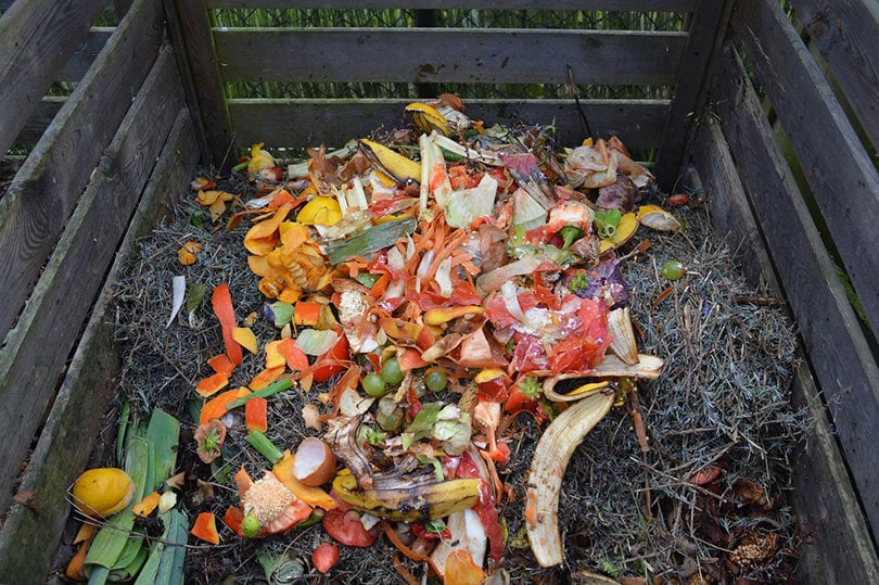un hoyo de compost con residuos verdes