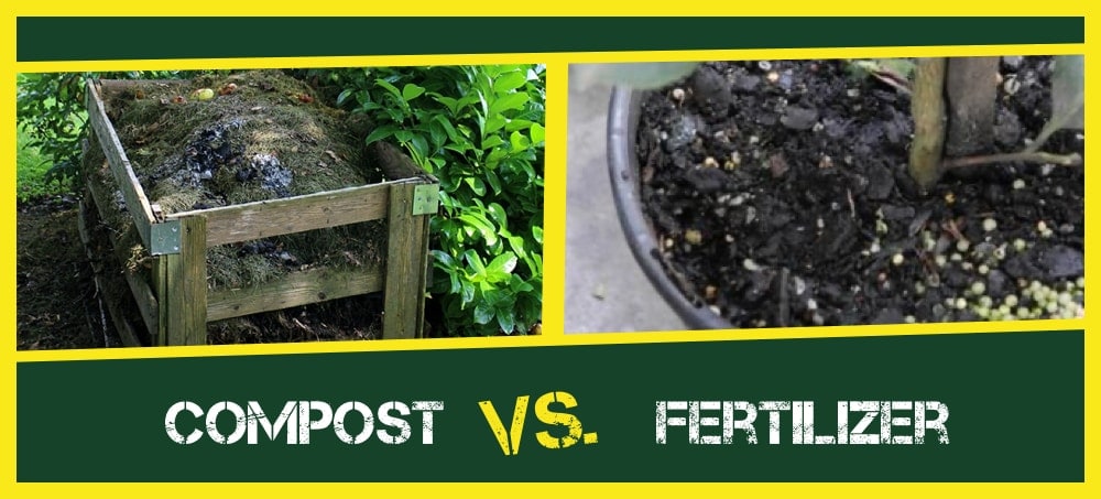 compost vs fertilizante