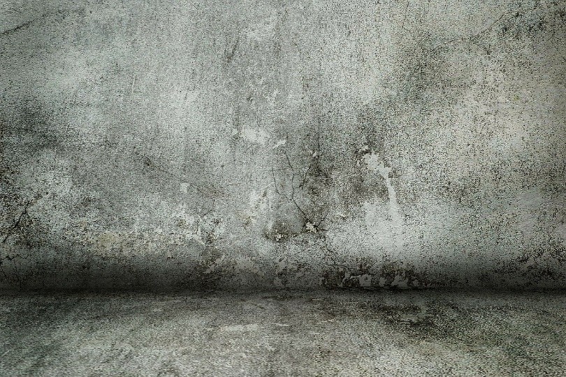 pared de concreto