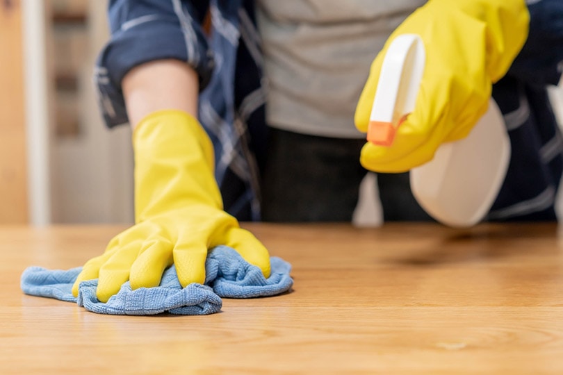 mujer recortada limpiando la superficie de madera con un paño azul y un limpiador en aerosol