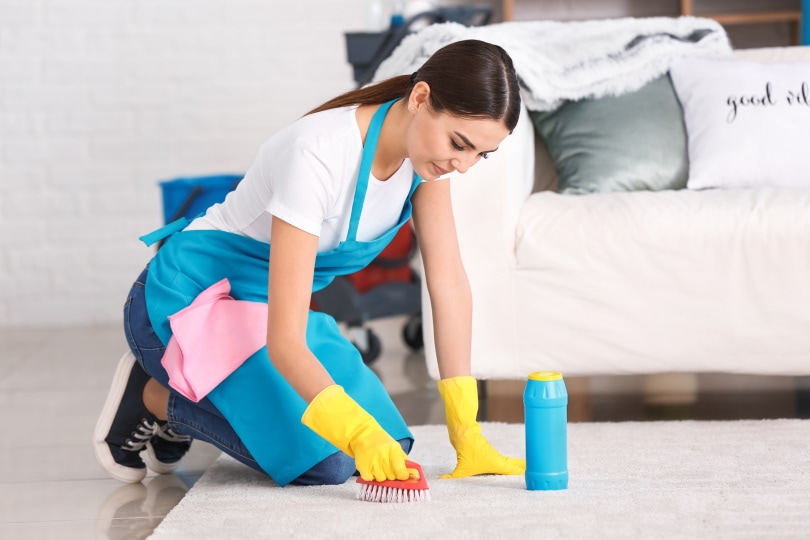 trabajadora limpiando alfombras