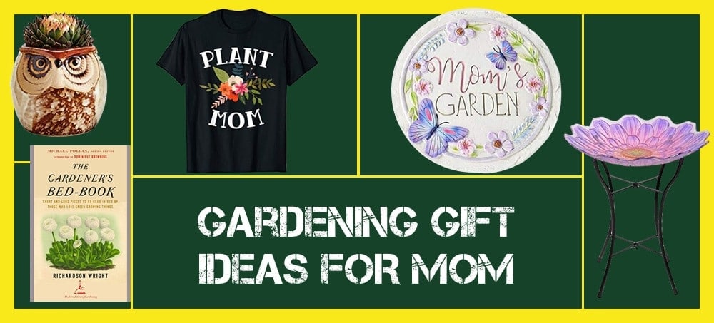 Ideas de regalos de jardinería para mamá