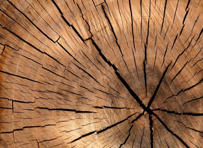 20 patrones de pirografía o bricolaje de quema de madera gratis