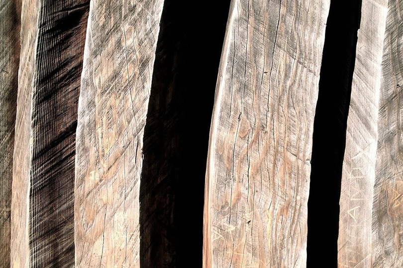 madera de secoya